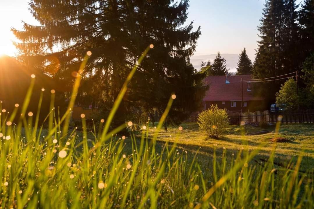 Piricske Pihenohaz Villa Ciceu Exterior photo